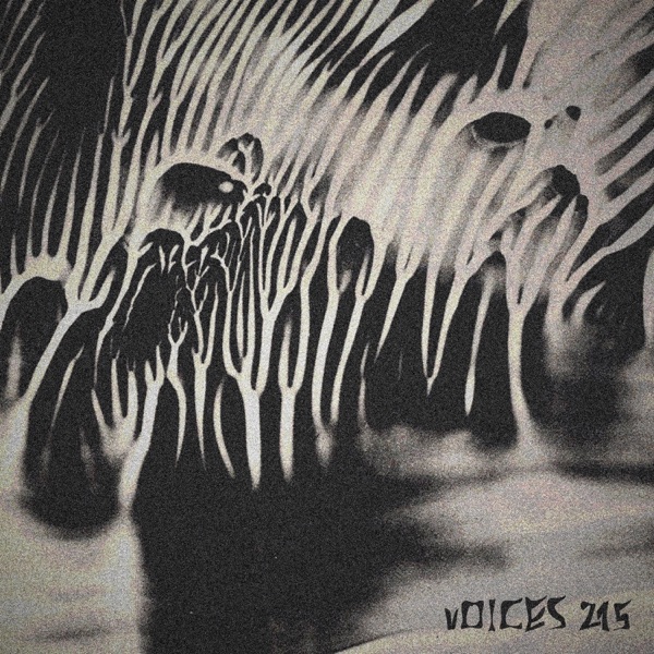 Voices 215 cover
